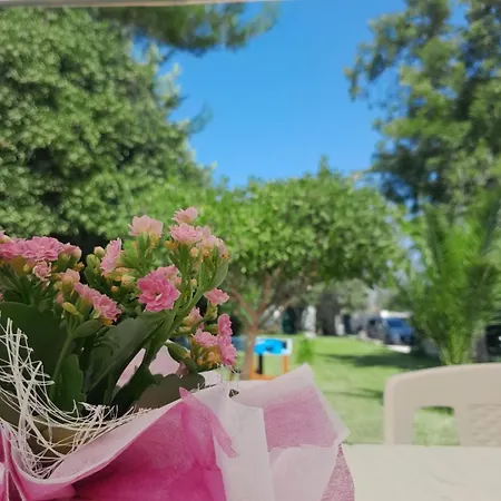 Lucia Lejlighed Maglie