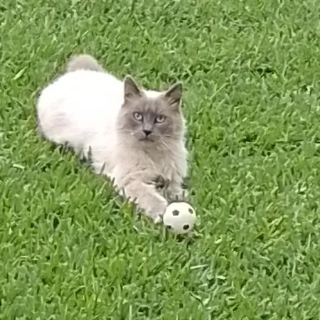 Lucia Lejlighed Maglie