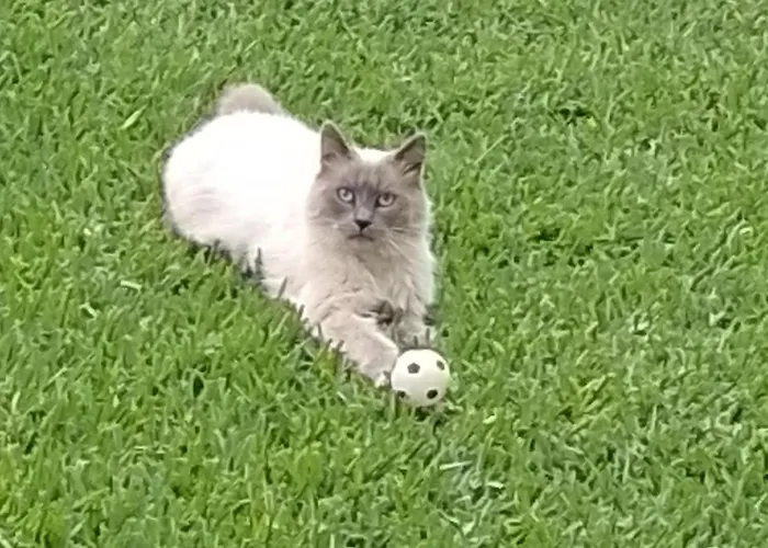 Lucia Appartamento Maglie